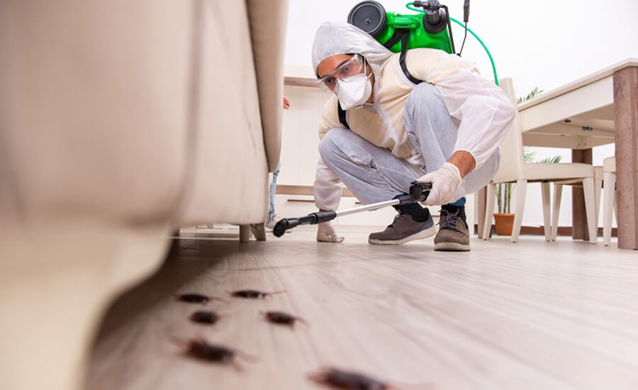 Pest Control